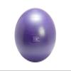 Gymnic Plus 65 Exercise Ball, Purple view 1
