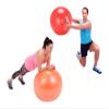 Gymnic Plus 65 Exercise Ball, Purple view 3