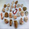 10 Rock Climbing Holds, Rock Climbing Equipment, Adult & Kids Climbing Wall view 2