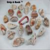 10 Rock Climbing Holds, Rock Climbing Equipment, Adult & Kids Climbing Wall view 3