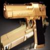 TG153 Academy #17223 Desert Eagle 50 Gold Special view 2