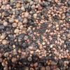 Antler King Slam Dunk Hunt Plot Attractant view 3