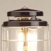 Coleman Northstar 1500 Lumens Gas Lantern with Matchless Lighting, Folding Propane Lantern with Mantles & Globe for Camping, Power Outage, Outdoor Lighting, & More view 2