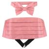 Cumberbund & BowTie PINK Color PAISLEY Design Men's Cummerbund Bow Tie Set view 1