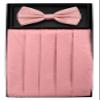 Cumberbund & BowTie PINK Color PAISLEY Design Men's Cummerbund Bow Tie Set view 2