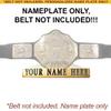 Personalized Nameplate Compatible With Adult WWE World Heavyweight Championship Replica Belt (BELT NOT INCLUDED) view 2