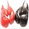 National Standard Products Boxing Training Gloves (20 OZ) view 1