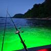 12V 25" MAXX LED Green Underwater Submersible Night Fishing Light 120 WATT -10,000 LUMENS: Crappie shad Squid Shrimp view 4