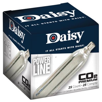 Daisy Outdoor Products 25 Count CO2 Cylinder, Silver, 12gm