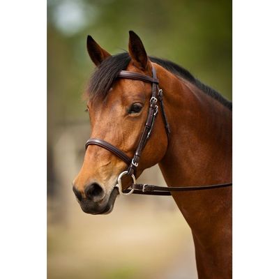 Nunn Finer Event Bridle (Cob, Havana/Brass)