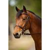 Nunn Finer Event Bridle (Cob, Havana/Brass) view 1