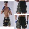 FLUORY Muay Thai Fight Shorts,MMA Shorts Clothing Training Cage Fighting Grappling Martial Arts Kickboxing Shorts Clothing view 2