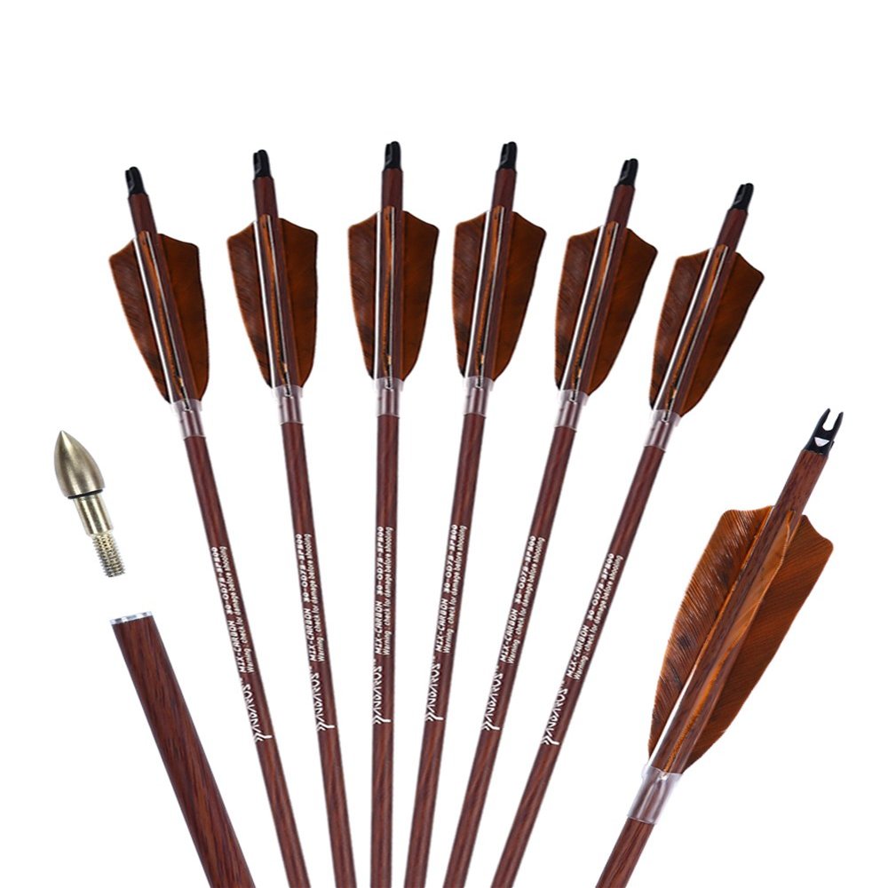 PANDARUS Archery 31-Inch Carbon Hunting Arrows, 4-Inch Turkey Feather Fletching with Replaceable Points, Targeting Practice Arrows Spine 500 for Recurve & Traditional Bows (6 Pack)