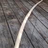 Traditional Hickory Longbow by You-Finish - 40lb, 71" - Competition or Hunting - Wood Archery - Right/Left Handed - 32" Max Draw view 3