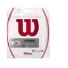 Wilson Synthetic Gut Power 16 Tennis String - Set, White view 1