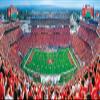 MasterPieces 1000 Piece Sports Jigsaw Puzzle - NFL San Francisco 49ers Center View Panoramic - 13"x39" view 2