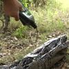 Elusive Wildlife Technologies, LP Pig Oil - Wild Hog Attractant - Long Lasting Hog Hunting Lure for attracting and harvesting Feral Hogs Around Your Deer Feeder or Deer Stand view 2