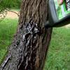 Elusive Wildlife Technologies, LP Pig Oil - Wild Hog Attractant - Long Lasting Hog Hunting Lure for attracting and harvesting Feral Hogs Around Your Deer Feeder or Deer Stand view 3