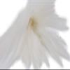 Creative Angler Saddle Hackle for Fly Tying/Tying Flies (White) view 2