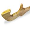 Catatonk Hunter Atlatl view 4