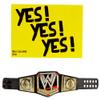 WWE Elite Collection Series #28 Daniel Bryan Figure view 4