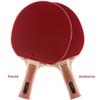 Atemi Pro Carbon 3000 Ping Pong Racket - Superior Control and Power - ITTF Approved Ping Pong Paddle Made from Natural, Non-Dyed Exotic Woods - Table Tennis Racket for All Levels of Players (Flared) view 3