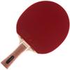 Atemi Pro Carbon 3000 Ping Pong Racket - Superior Control and Power - ITTF Approved Ping Pong Paddle Made from Natural, Non-Dyed Exotic Woods - Table Tennis Racket for All Levels of Players (Flared) view 4