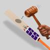 S.S Cannon Season Cricket Bat, Full Size view 3