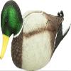 MOJO Outdoors Rippler - Premium Waterfowl and Duck Hunting Decoy view 1