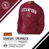 Campus Colors Adult Arch & Logo Soft Style Gameday Crewneck Sweatshirt (Stanford Cardinal - Cardinal, Small) view 3