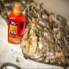 Scent Killer Gold Scent Free Laundry Detergent for Hunting Gear with Power Boost Plus Odor Eliminator, 32 Fluid Ounces view 4