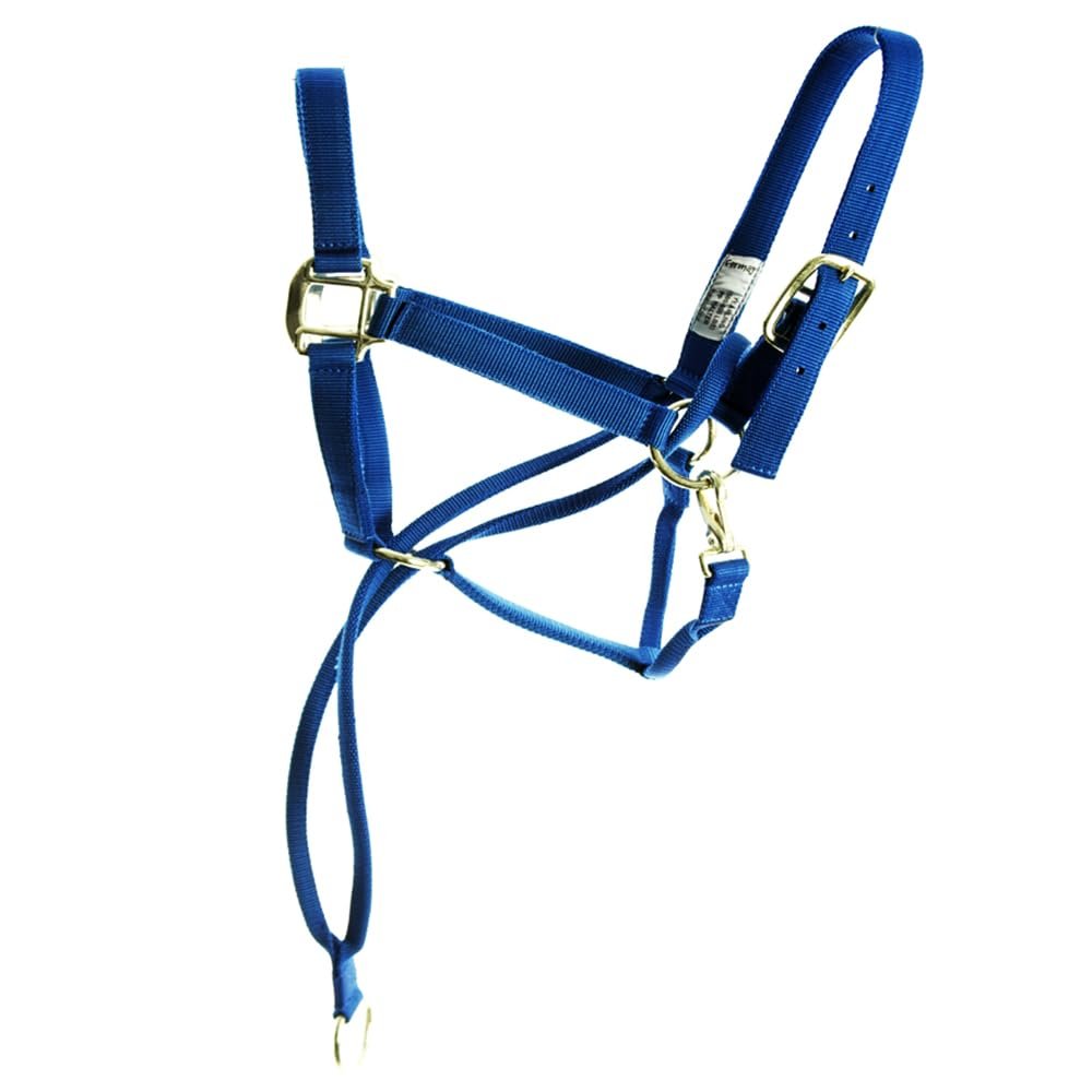 Aime Imports Basic Pull Back Training Halter Blue