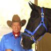 Monty Roberts Official Dually Training Halter Large/Draft (with Free DVD) view 1