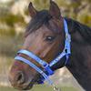 Monty Roberts Official Dually Training Halter Large/Draft (with Free DVD) view 3