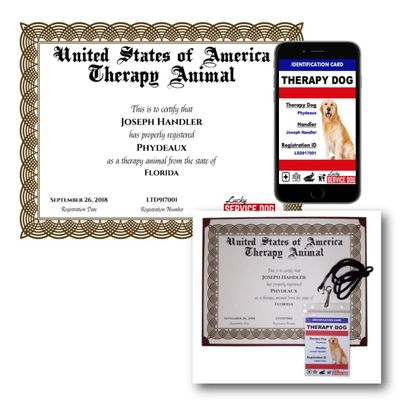 Therapy Dog Certificate & Photo ID