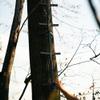 Rivers Edge Big Foot 20 Connect-N-Climb, Tree Climbing System, 5 Sections, 4 Total Sections, Double Step Design, Tractionite Non-Slip Coating, RE723 view 3