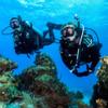 TUSA SP-0101 Hyperdry Elite II Scuba Diving Snorkel, Black/Bronze view 3