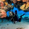TUSA SP-0101 Hyperdry Elite II Scuba Diving Snorkel, Black/Bronze view 4