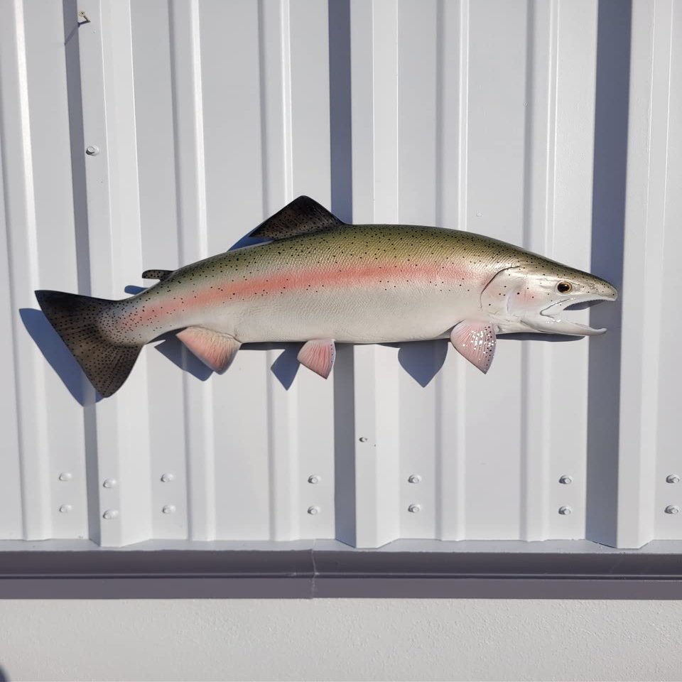 in Stock - 25" Rainbow Trout Half Sided Fish Mount Replica - Cabin Decor - Indoors Or Outside