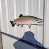 in Stock - 25" Rainbow Trout Half Sided Fish Mount Replica - Cabin Decor - Indoors Or Outside view 2