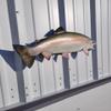 in Stock - 25" Rainbow Trout Half Sided Fish Mount Replica - Cabin Decor - Indoors Or Outside view 3