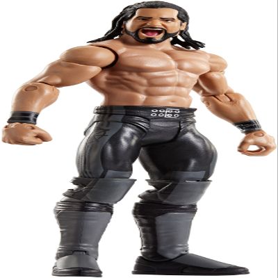 WWE Series #73 Seth Rollins Figure, 6"