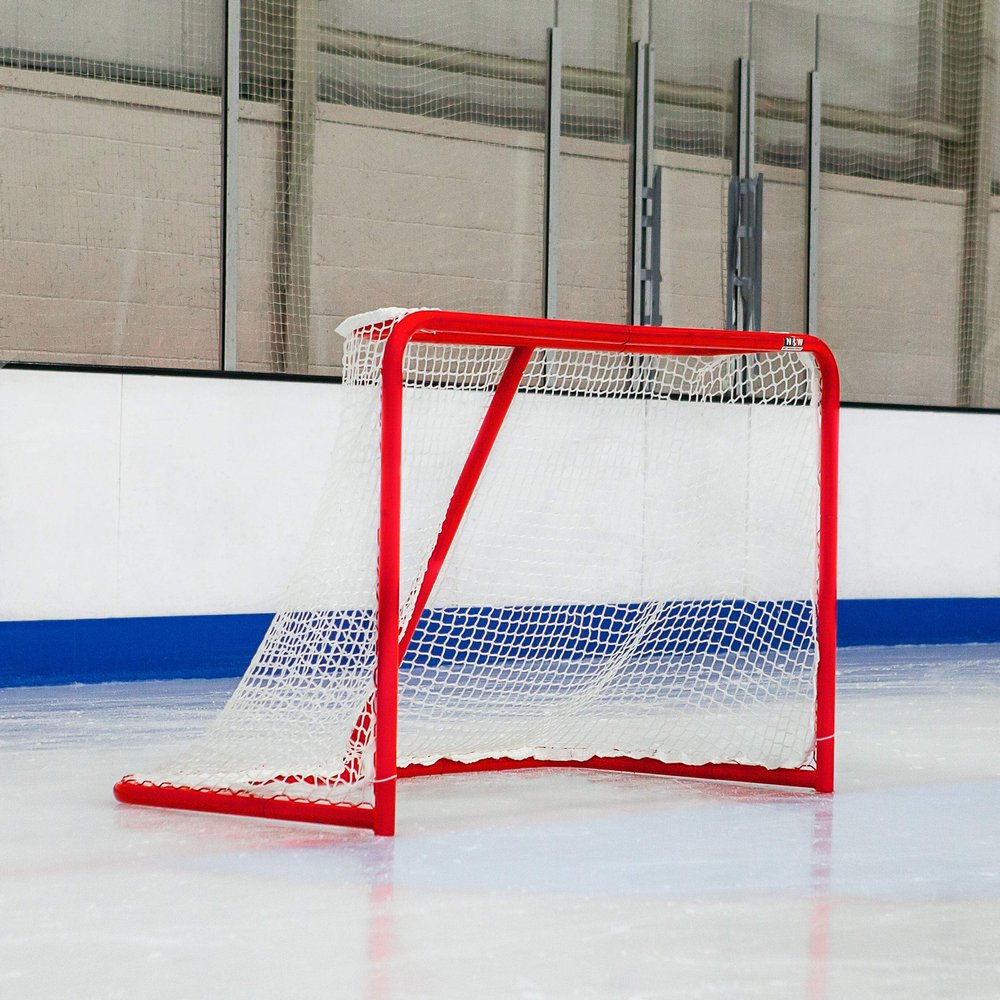 FORZA Professional Ice Hockey Goal with 5mm Net and 2in Galvanized Steel Frame