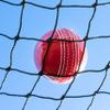 Cricket Warm Up & Practice Net - Fantastic Temporary Netting Solution - Available Lengths 13ft / 40ft / 65ft [Net World Sports] (40ft) view 3