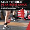 Lifeline Fitness Interchangeable Lateral Resistor - Professional Resistance Tool with up to 120lbs Resistance - Variable Weighted Resistance for Lower Body Strength - Workout Agility view 4
