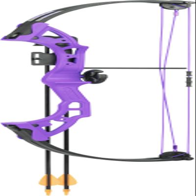 Bear Archery Brave Youth Bow Includes Whisker Biscuit, Arrows, and Arrow Quiver Recommended for Ages 8 and Up  Purple, Right Hand