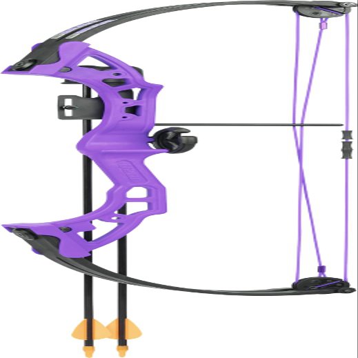 Bear Archery Brave Youth Bow Includes Whisker Biscuit, Arrows, and Arrow Quiver Recommended for Ages 8 and Up  Purple, Right Hand