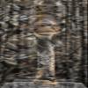 Sean Mann Express Eastern Shoreman Canada Goose Call - Max5 Camo view 1