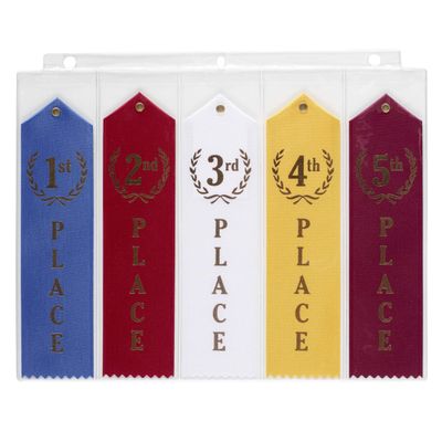 10 Swimming Ribbons Organizer Holder Display Storage Gymnastics Track Award Ribbon Strong Clear Robust Binder Pages Sheets - Mercurydean USA