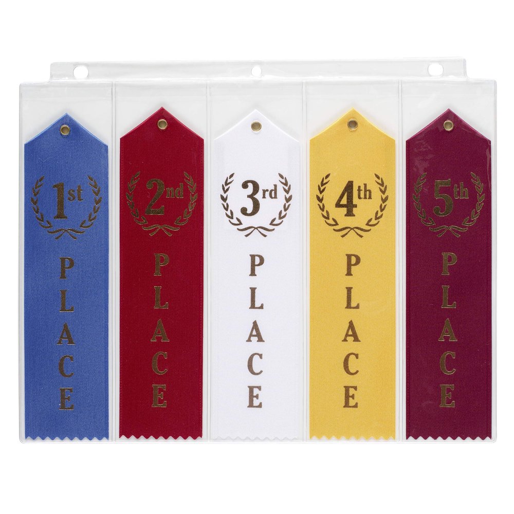 10 Swimming Ribbons Organizer Holder Display Storage Gymnastics Track Award Ribbon Strong Clear Robust Binder Pages Sheets - Mercurydean USA